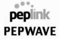 pepwave partner logo