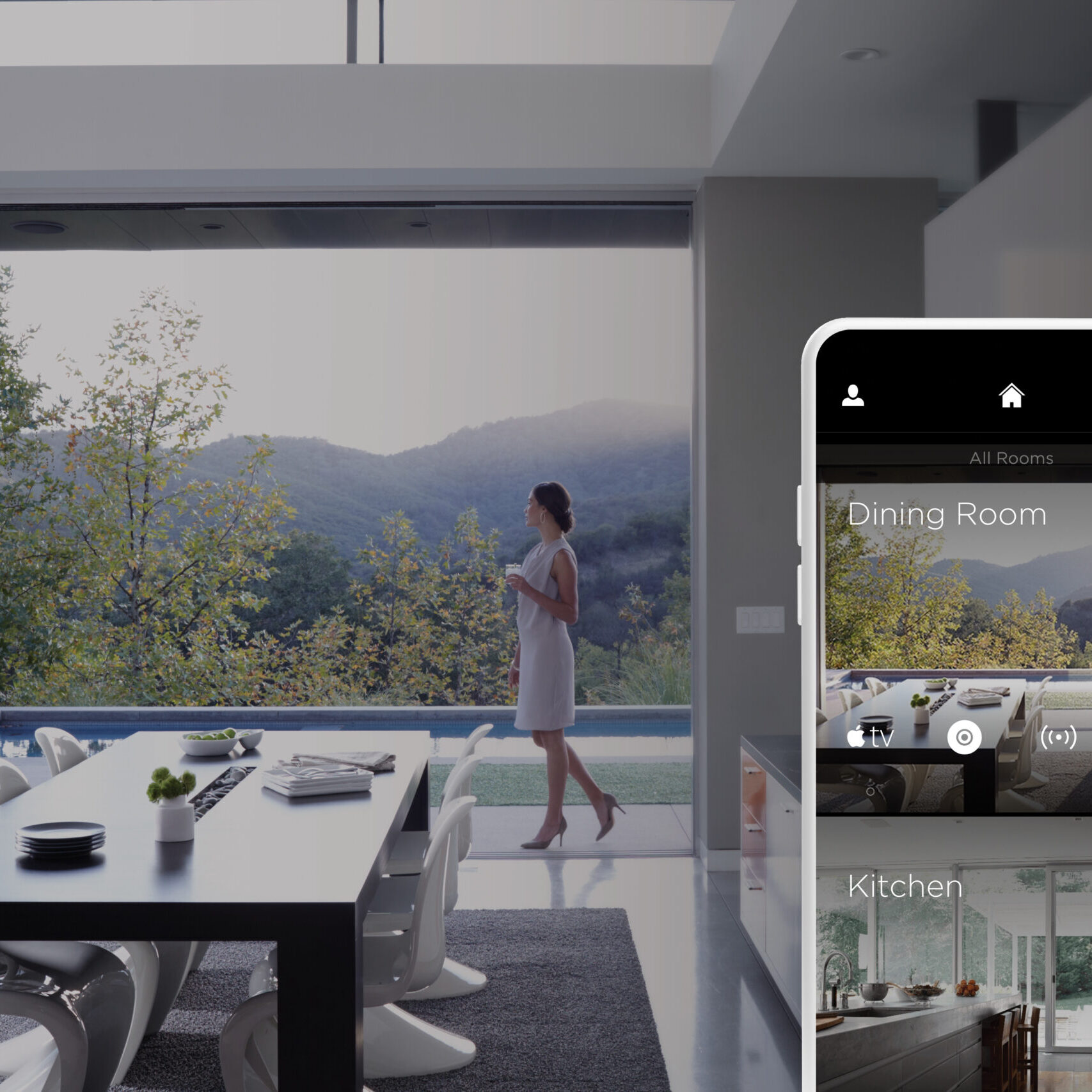Savant room control interface